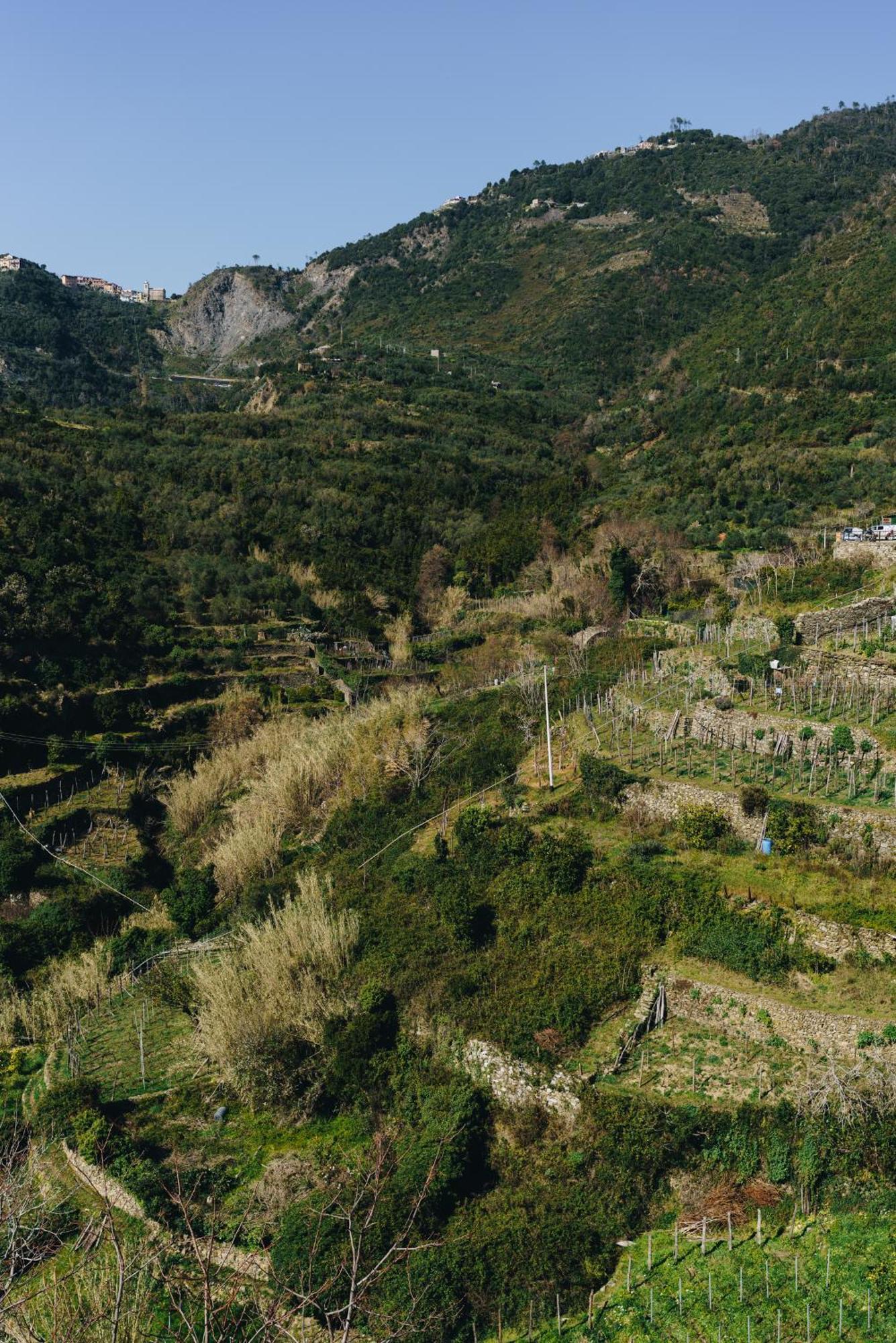 Hotel Punto Zero à Corniglia Extérieur photo
